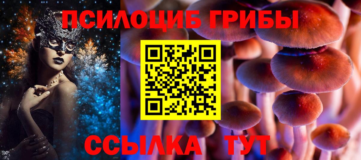 Алексеевка  Псилоцибиновые грибы GOLDEN TEACHER  Галлюциногенные грибы GOLDEN TEACHER  Вход с VPN 