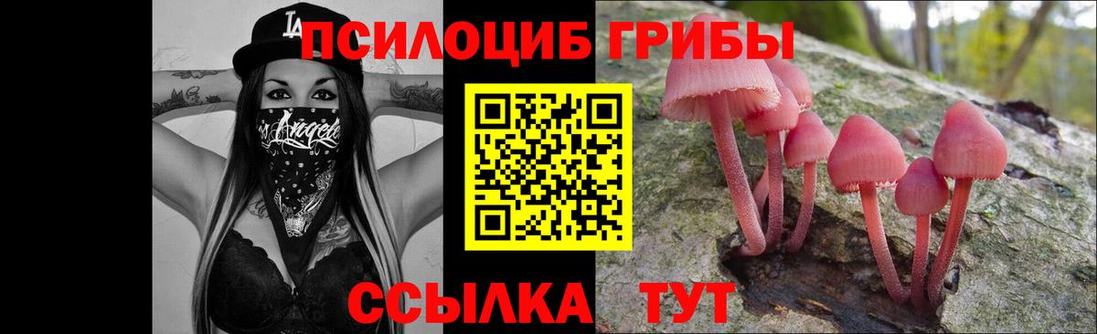 Галлюциногенные грибы Cubensis Алексеевка